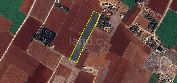 Jordbruksfält till salu i Avgorou