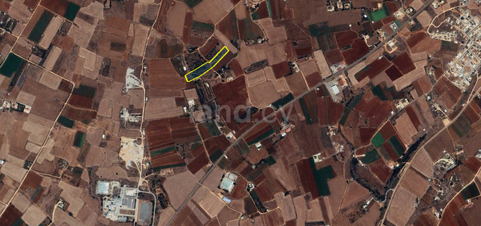 Agricultural field for sale in Liopetri