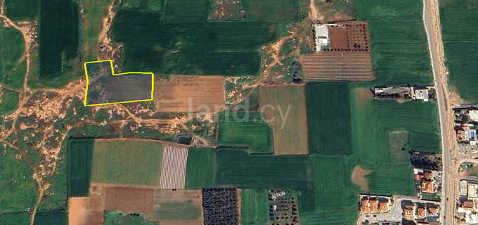 Agricultural field for sale in Sotira