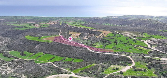 Agricultural field for sale in Larnaca