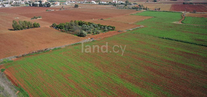 Agricultural field for sale in Avgorou