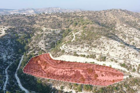 Agricultural field for sale in Larnaca