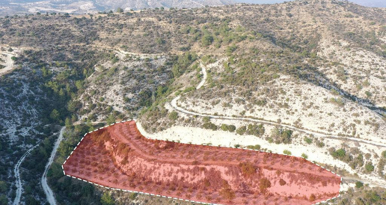 Agricultural field for sale in Larnaca