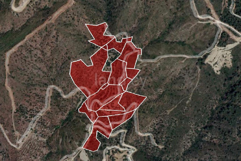 Agricultural field for sale in Larnaca