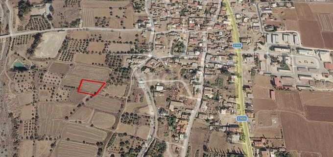 Pole rolne na sprzedaż w Nicosia