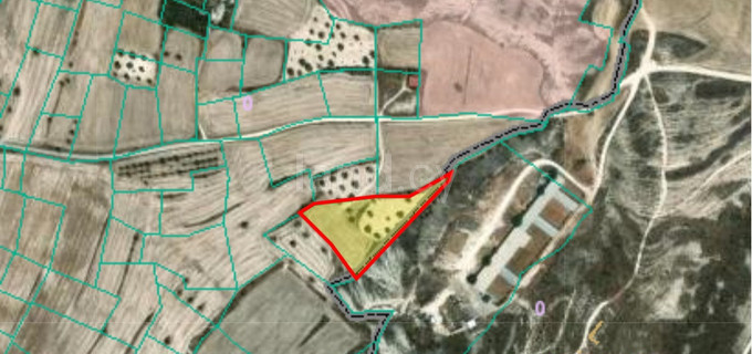 Jordbruksfält till salu i Nicosia