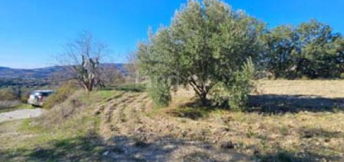 Agricultural field for sale in Paphos