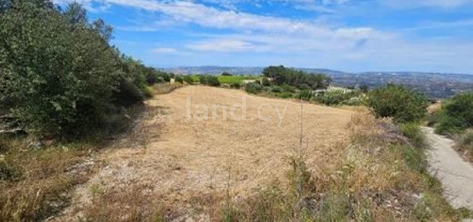 Campo agrícola a la venta en Paphos