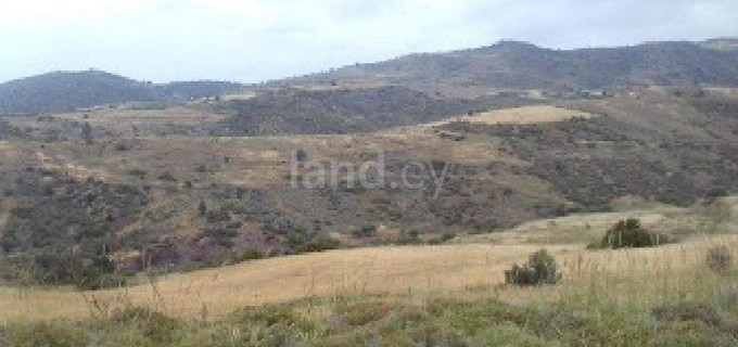 Agricultural field for sale in Paphos
