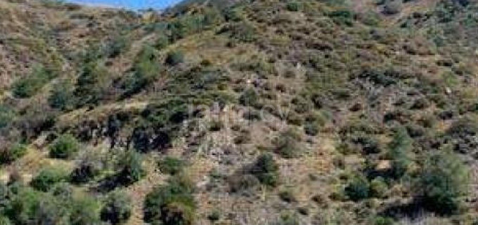Agricultural field for sale in Paphos