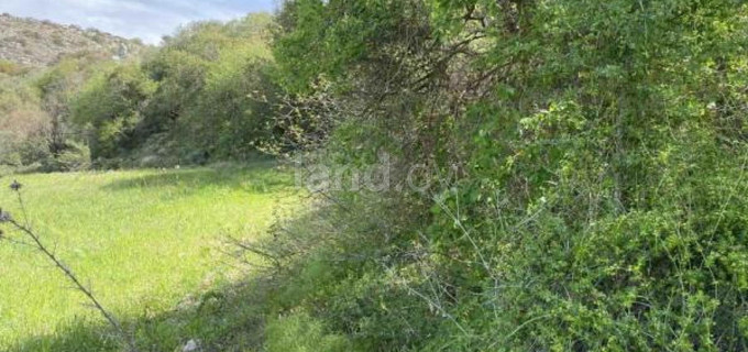 Αγροτικό αγροτεμάχιο προς πώληση - Πάφος