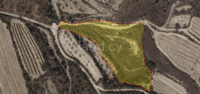 Residential field for sale in Paphos