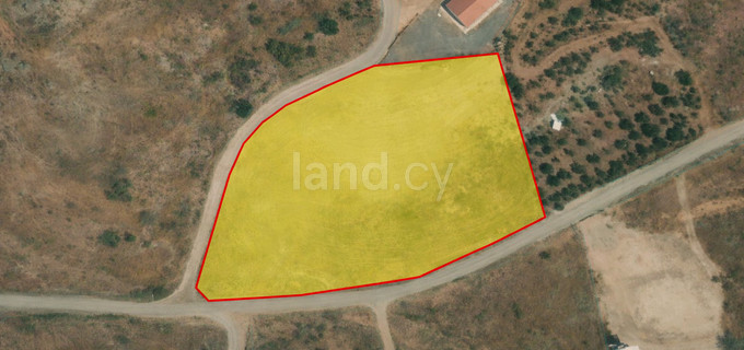 Agricultural field for sale in Paphos