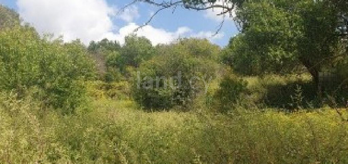 Residential field for sale in Paphos