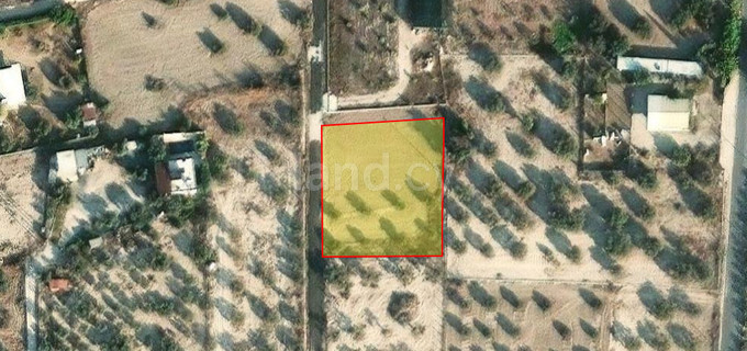 Agricultural field for sale in Larnaca