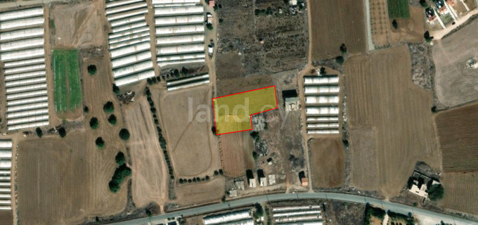 Touristic field for sale in Larnaca