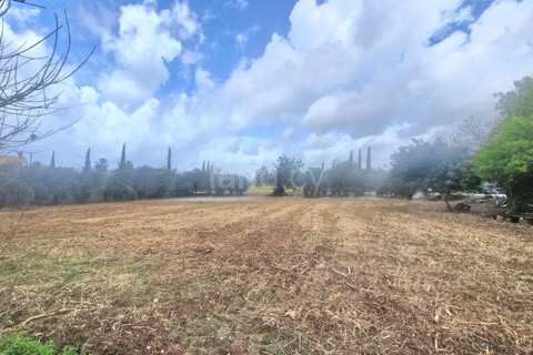 Residential plot for sale in Paphos