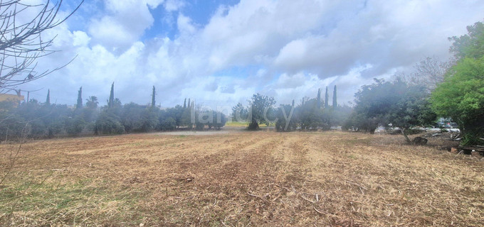 Residential plot for sale in Paphos
