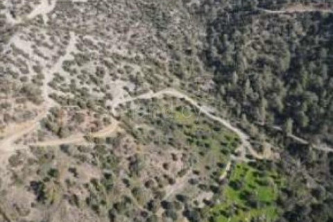 Agricultural field for sale in Limassol