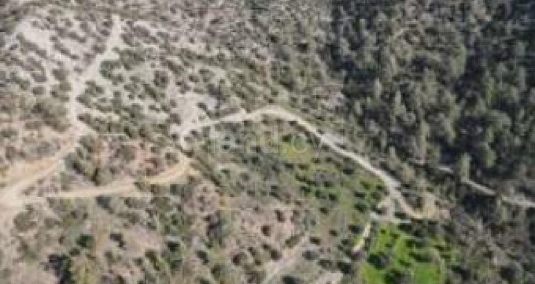 Agricultural field for sale in Limassol