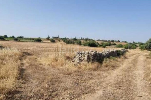 Agricultural field for sale in Limassol