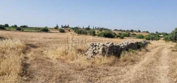 Jordbruksfält till salu i Limassol