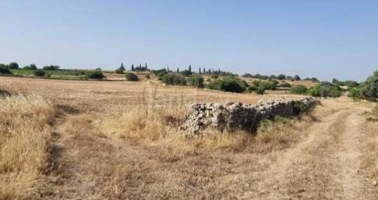 Agricultural field for sale in Limassol