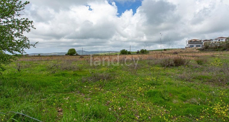 Touristic field for sale in Paphos