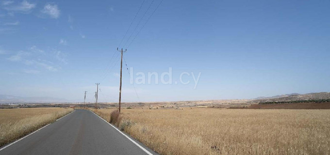 Campo agrícola a la venta en Nicosia