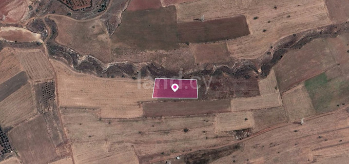 Pole rolne na sprzedaż w Nicosia