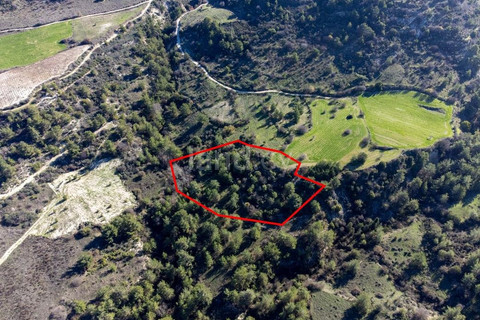 Agricultural field for sale in Paphos