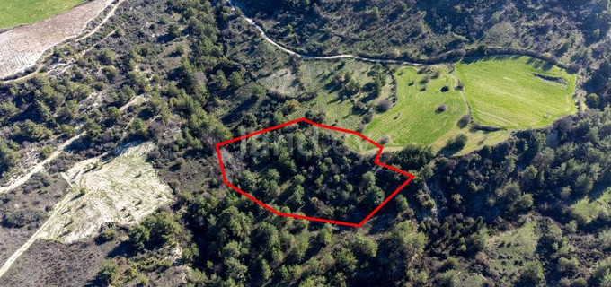 Pole rolne na sprzedaż w Paphos