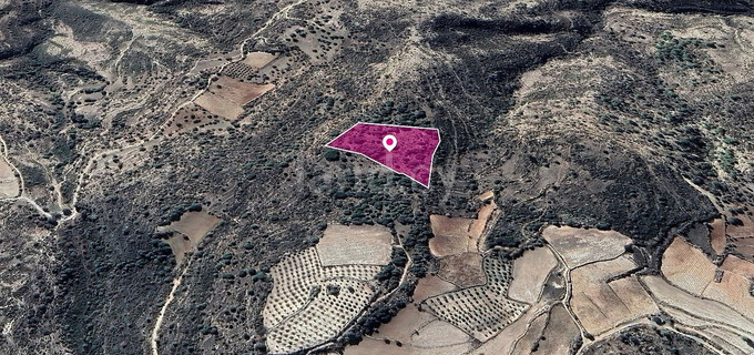 Pole na sprzedaż w Limassol