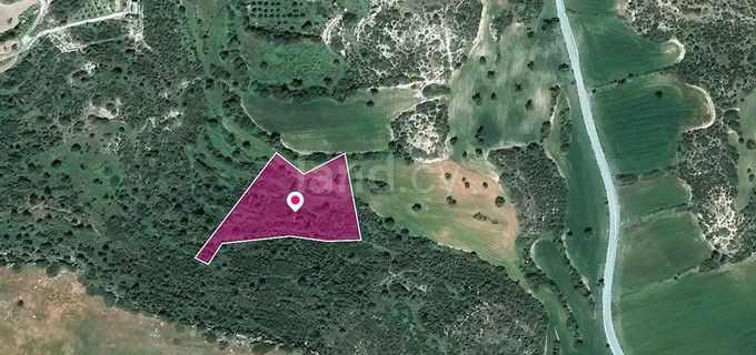 Pole na sprzedaż w Larnaca