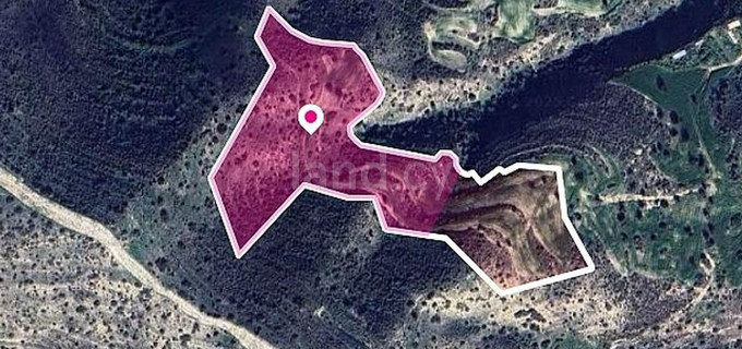 Pole rolne na sprzedaż w Larnaca