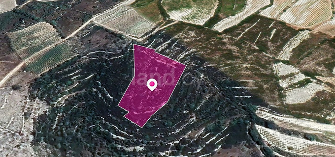 Pole rolne na sprzedaż w Limassol