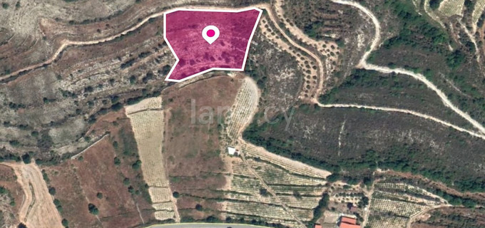 Jordbruksfält till salu i Limassol