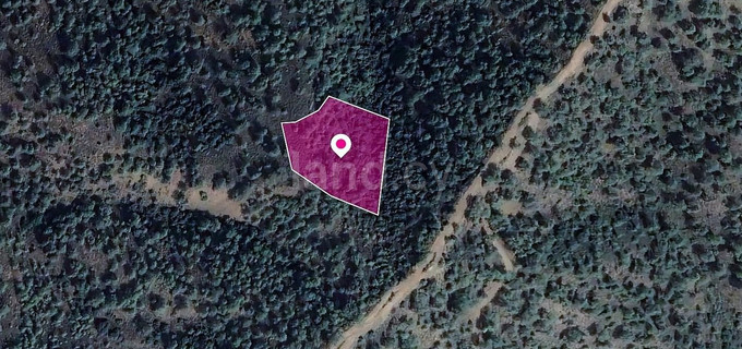 Pole rolne na sprzedaż w Nicosia