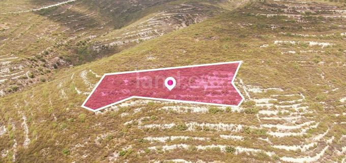 Pole rolne na sprzedaż w Limassol