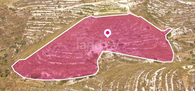 Pole rolne na sprzedaż w Limassol