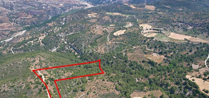 Pole rolne na sprzedaż w Paphos