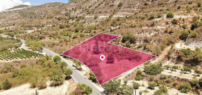 Pole na sprzedaż w Paphos