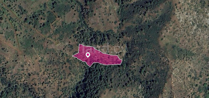 Сельскохозяйственное поле на продажу в Никосия