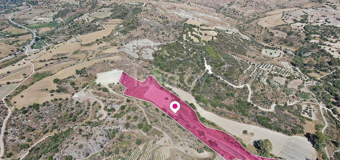 Campo agrícola a la venta en Paphos