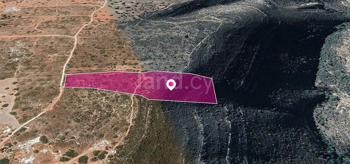 Pole rolne na sprzedaż w Limassol