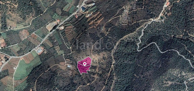 Сельскохозяйственное поле на продажу в Никосия