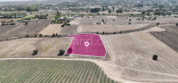 Поле на продажу в Никосия