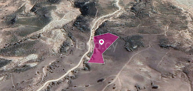 Field for sale in Paphos