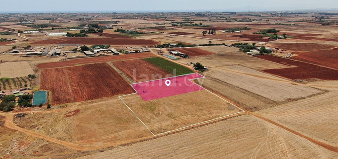 Jordbruksfält till salu i Avgorou