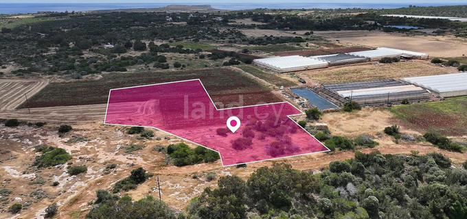 Fält till salu i Paralimni